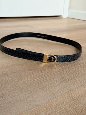 Vintage Genuine Snakeskin Leather Belt Silver Gold Buckle Adjustable XL/L Unisex